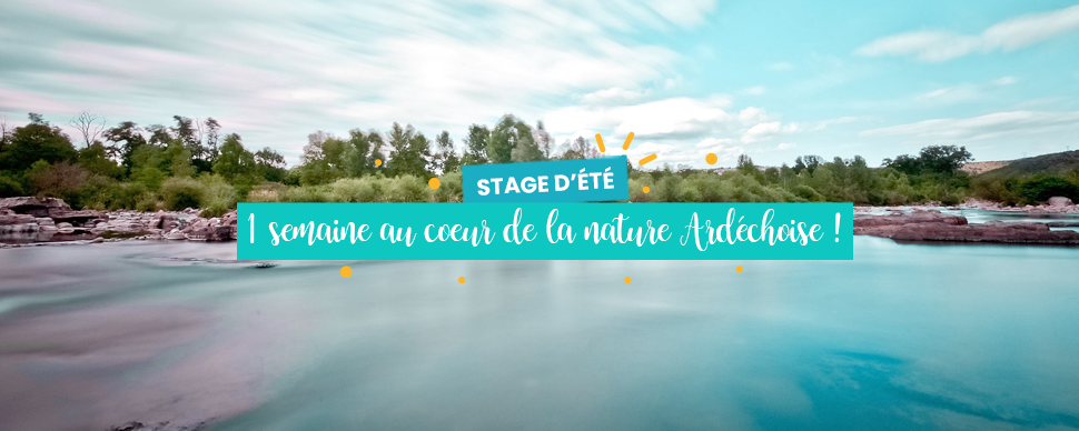 stage-niveau1